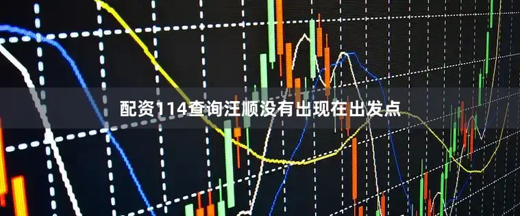 配资114查询汪顺没有出现在出发点